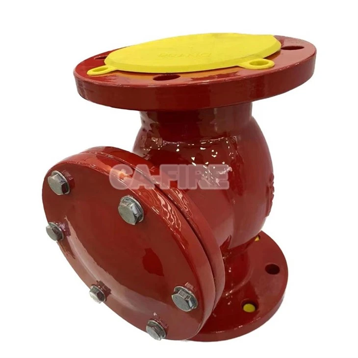 Swing check valve (5)