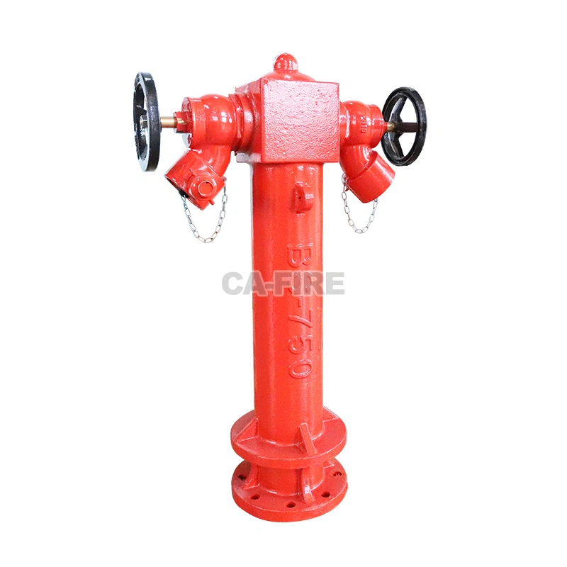 product-800-800 product-800-800